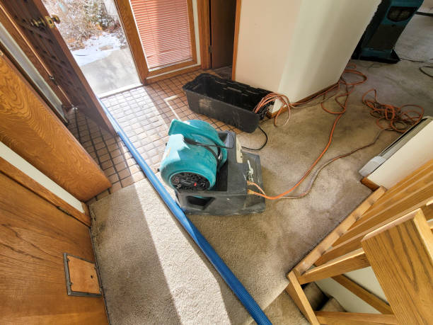Best Carpet water damage restoration  in Taylor Lake Village, TX
