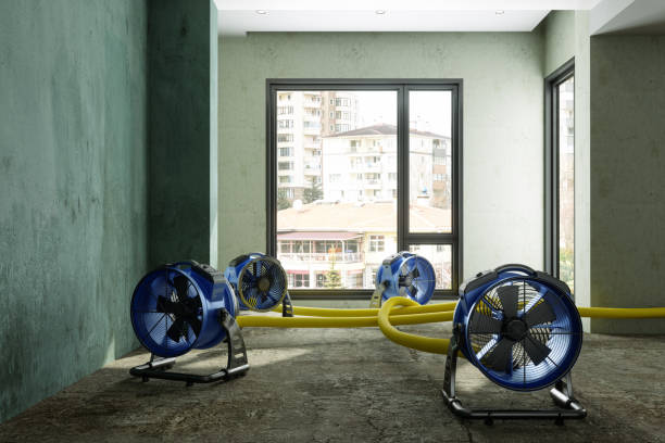 Best Water damage cleanup near me  in Taylor Lake Village, TX