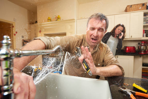 Best Professional water damage repair  in Taylor Lake Village, TX